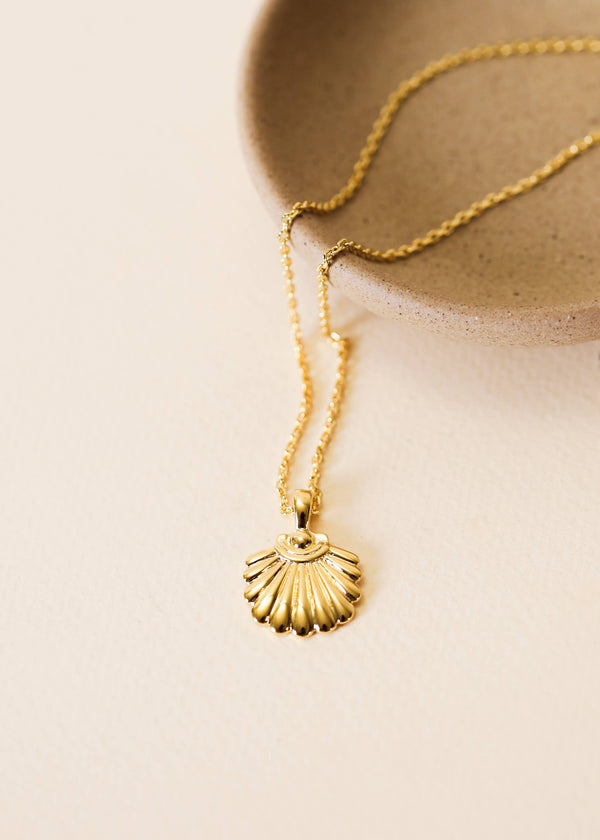 JaxKelly - Seashell Pendant - 18k Gold Necklace - 16" to 18"