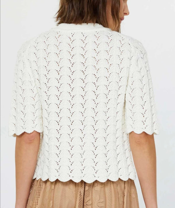 Current Air: Donna Half Sleeve, Button Front Colored Cardigan in Ivory