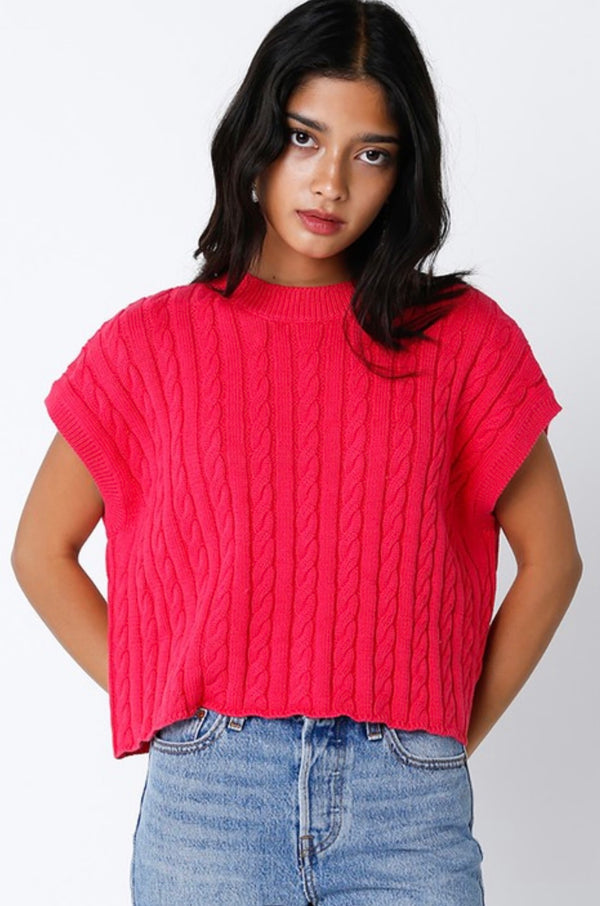 Olivaceous- Cable Knit Short Sleeve Sweater Top