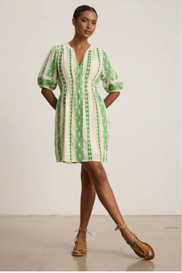Velvet by Graham & Spencer Lucy Dress: Lime