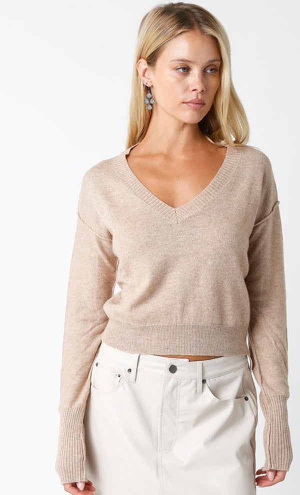 OLIVACEOUS MELANGE BROWN VNECK SWEATER