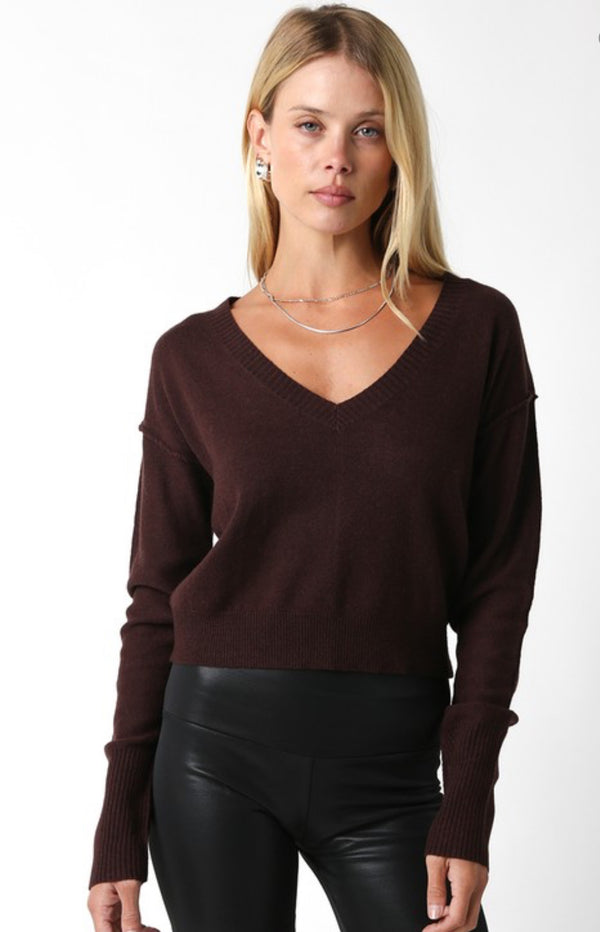 OLIVACEOUS COFFEE BEAN V NECK SWEATER