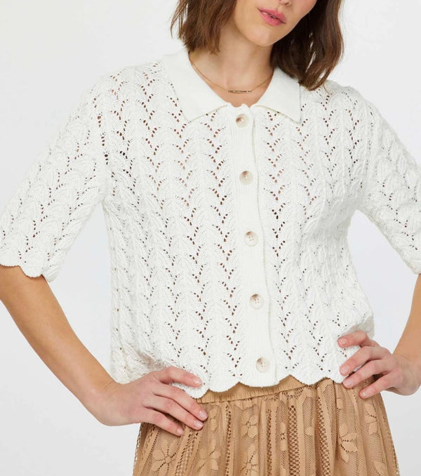 Current Air: Donna Half Sleeve, Button Front Colored Cardigan in Ivory