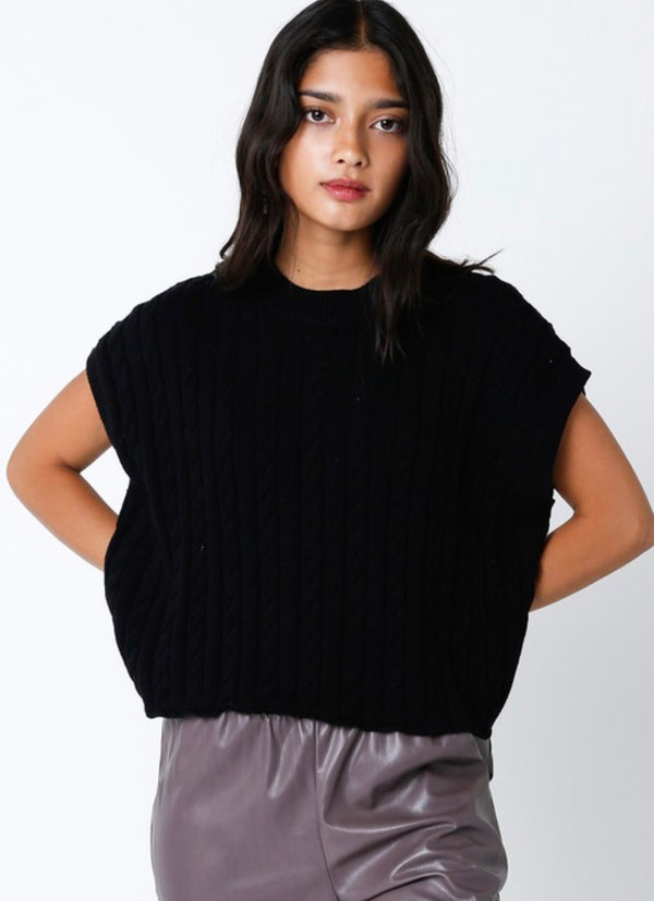 Olivaceous- Black Cable Knit Short Sleeve Sweater Top
