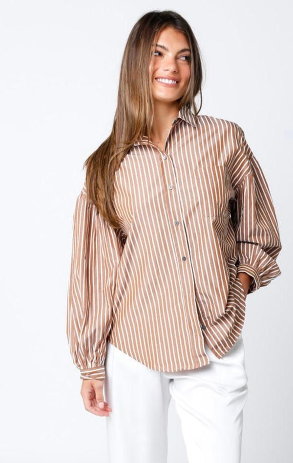 Olivaceous-Chocolate Stripe Button Down